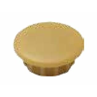 ダンドリビス　穴キャップ　10mm　Cボックス　ナチュラルC　A10-14