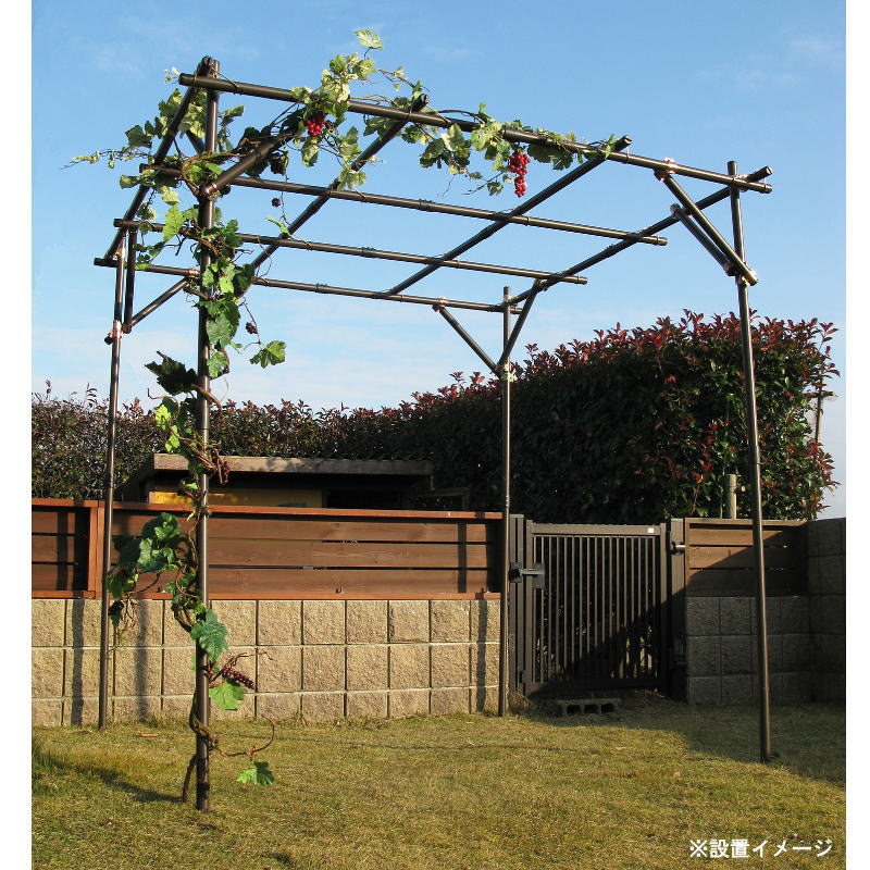 【送料無料】[2梱包]  ダイム DAIM ガーデンアグリパイプ 果樹棚セット 2m×2m