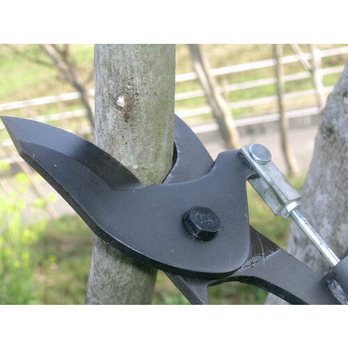 送料無料】ニシガキ 太枝切り鋏 太丸800 N-152 | 土農工具・鋏・鎌