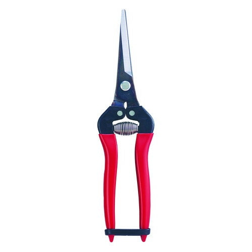 アルス 摘果鋏エクストラロングタイプ ブリスター 300LL-BP