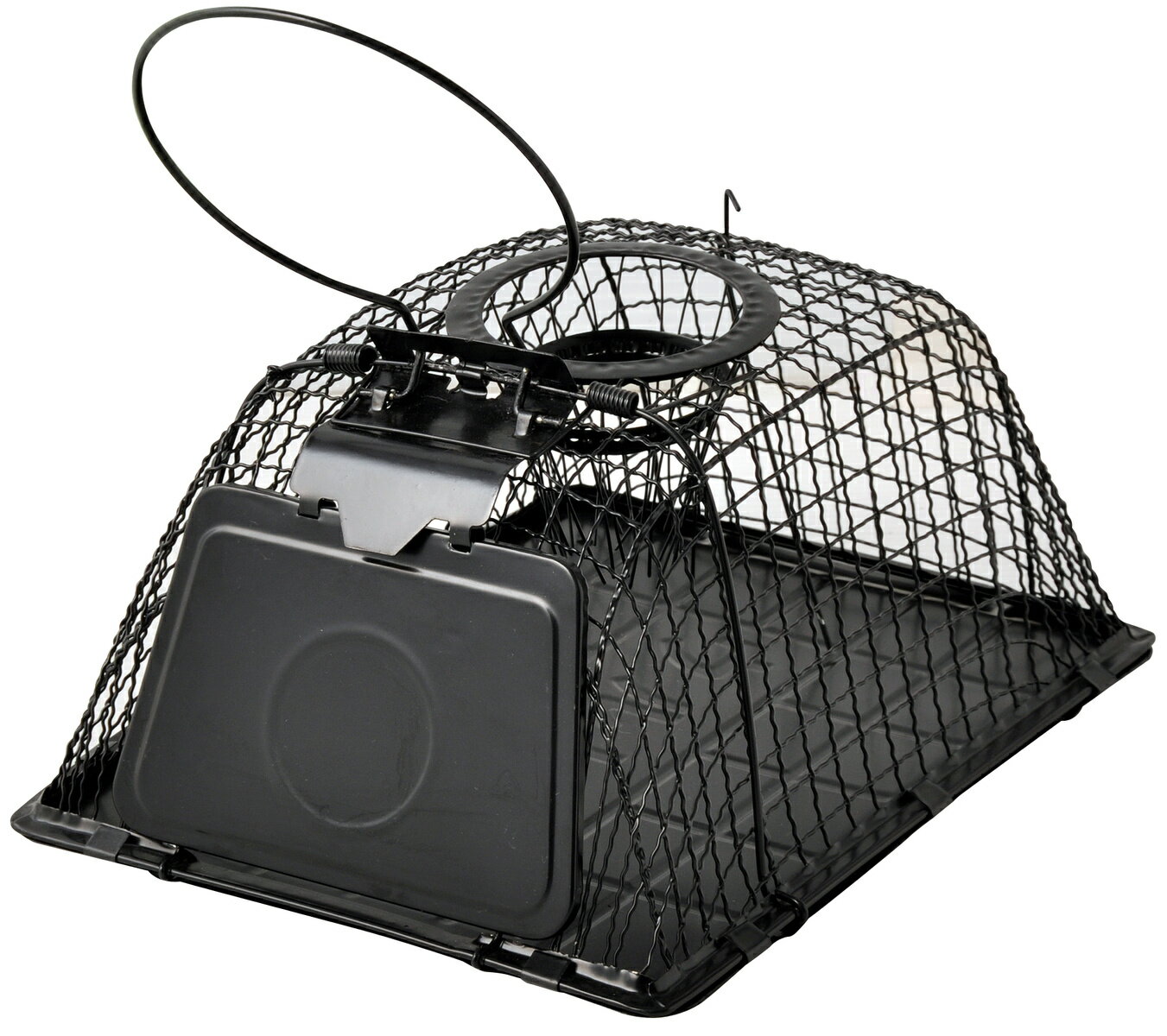 チュー・ハウス型 アークランズ