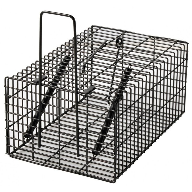 ブラック・角型ハウス アークランズ