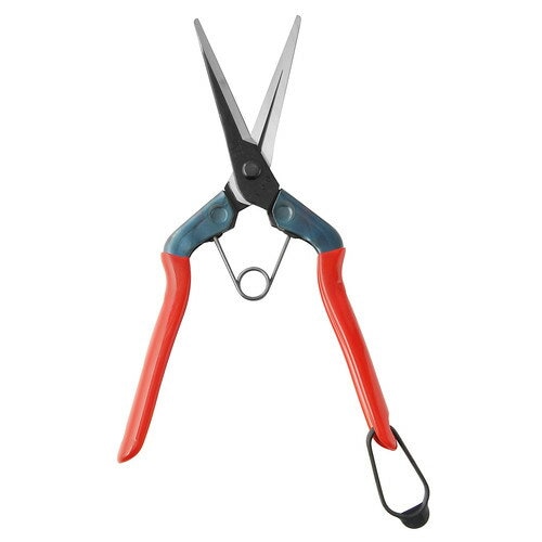 近正 本職園芸用 芽切鋏ロング T-570