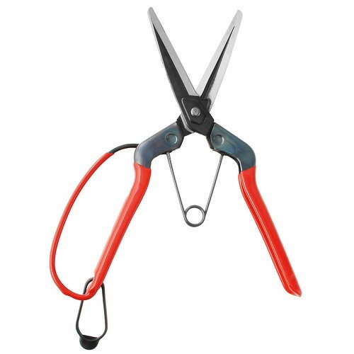 近正 本職園芸用 青果鋏 ガード付 T-700G