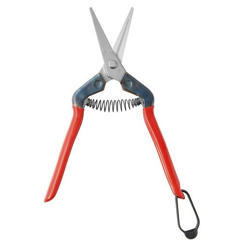 近正 本職園芸用 ステンレス 芽切・摘果鋏 T-55SH