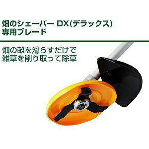 デジパ　15枚 超低頭六角穴付ボルト 8×20 | ねじ・くぎ・針金・建築金物 通販