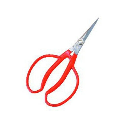 小林製鋏 越路 ステンレス ぶどう間引鋏 175mm K-14