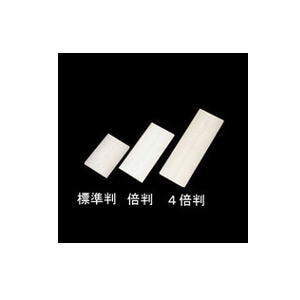 新日本造形 サン描画 スクィジー・樹脂製 倍判 150ｍｍ 216-362