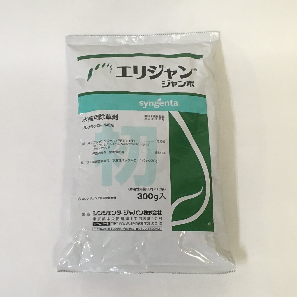 ☆令和7年 生ブルーベリー☆農薬不使用 3きえ シンシン 国産 ブルーベリー 無農薬」の人気商品一覧 | 安い商品を通販