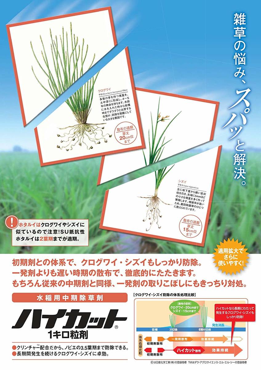 モルダバイト スターカット 粒 モルダバイト（チェコ産） スター型ファセットカット ペンダントトップ