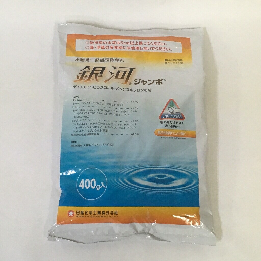 【送料無料】銀河ジャンボ 400g