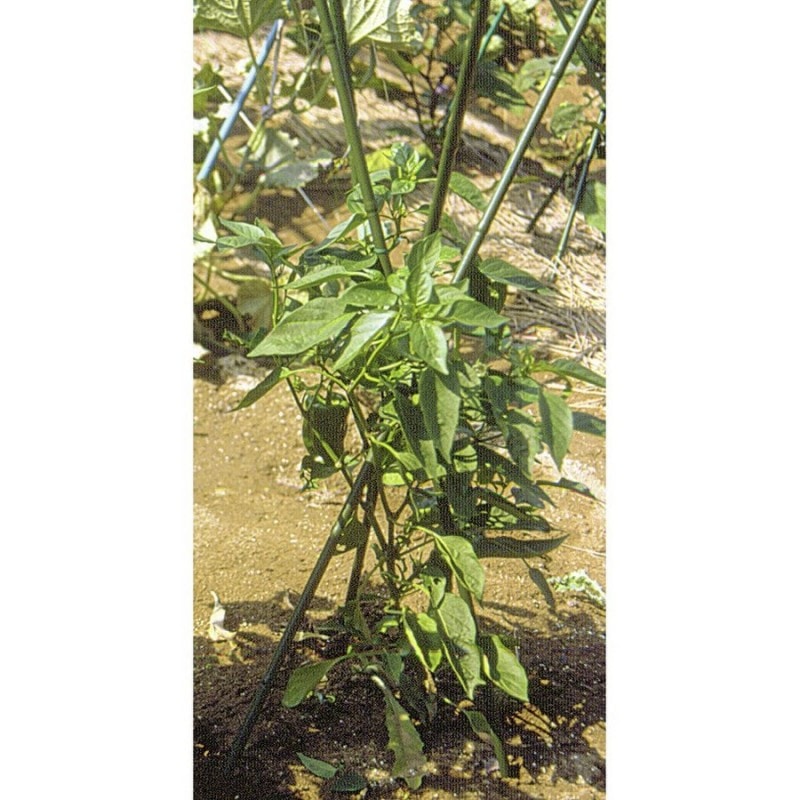 第一ビニール 三脚支柱 11mm×120cm