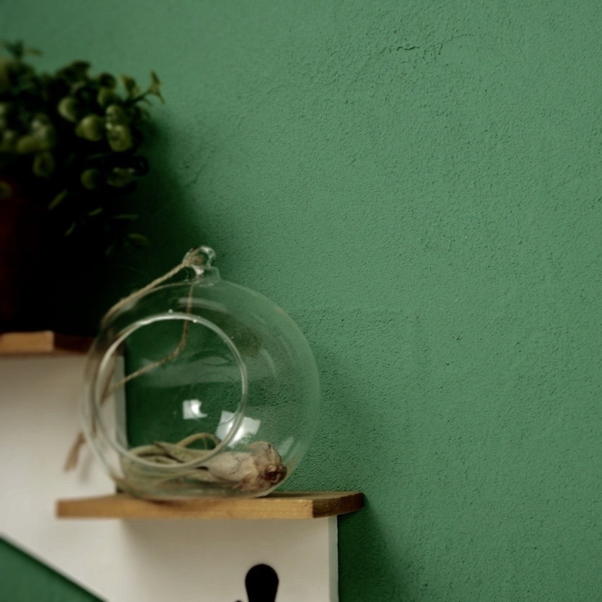 送料無料】ワンウィル EASY＆COLOR 珪藻土 5kg グリーン | 塗料・補修