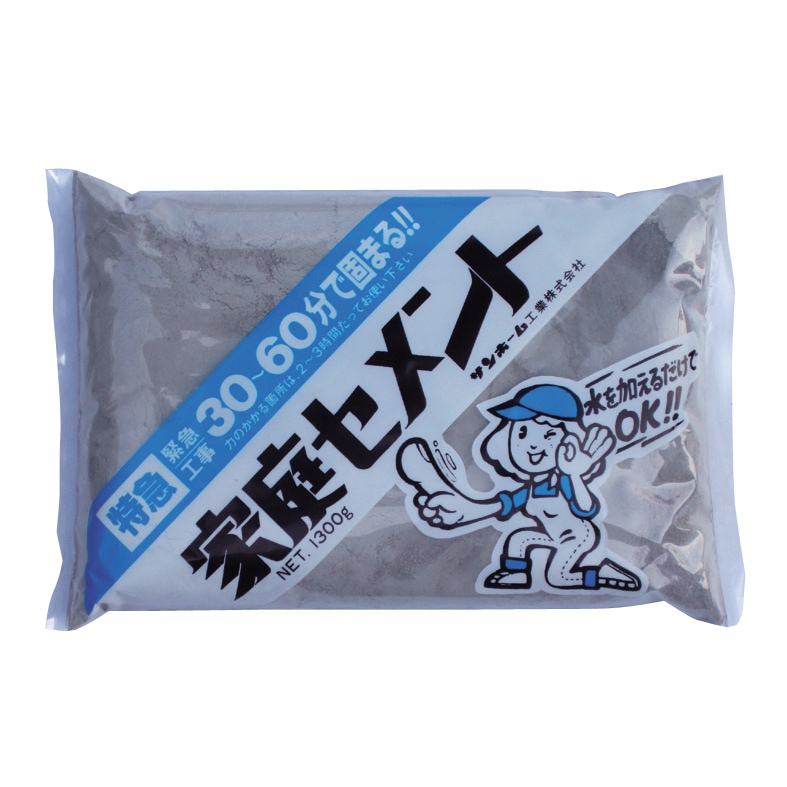 バスセメント君 サンホーム 家庭セメント （特急） 灰色1.3kg CTG1.3 | 塗料・補修剤