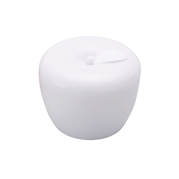 テイコブ 入れ歯ケース 食事・口腔ケア 介護用品 DC01