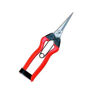 小林製鋏 越路 ステンレス 摘果鋏 185mm K-9