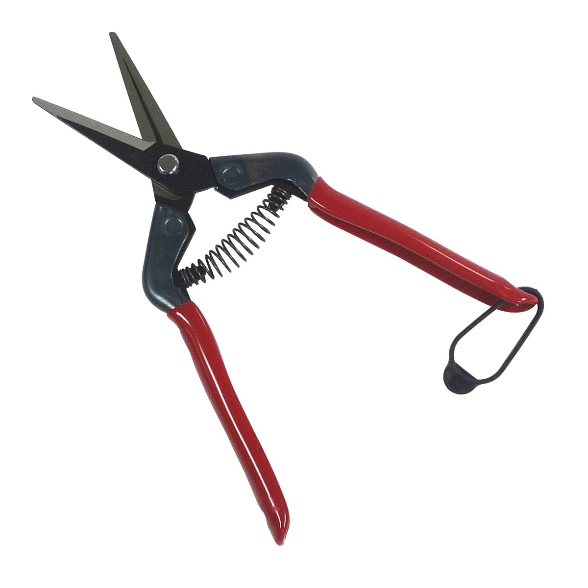 近正 本職園芸用 芽切摘果鋏 T-55CH | 土農工具・鋏・鎌,ハサミ,収穫鋏