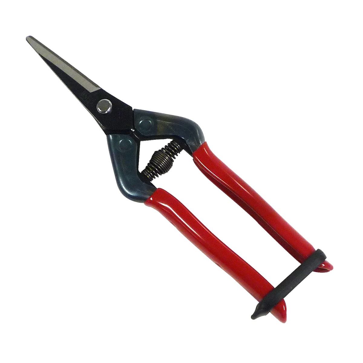 近正 本職園芸用 芽切摘果鋏 T-55CH | 土農工具・鋏・鎌,ハサミ,収穫鋏