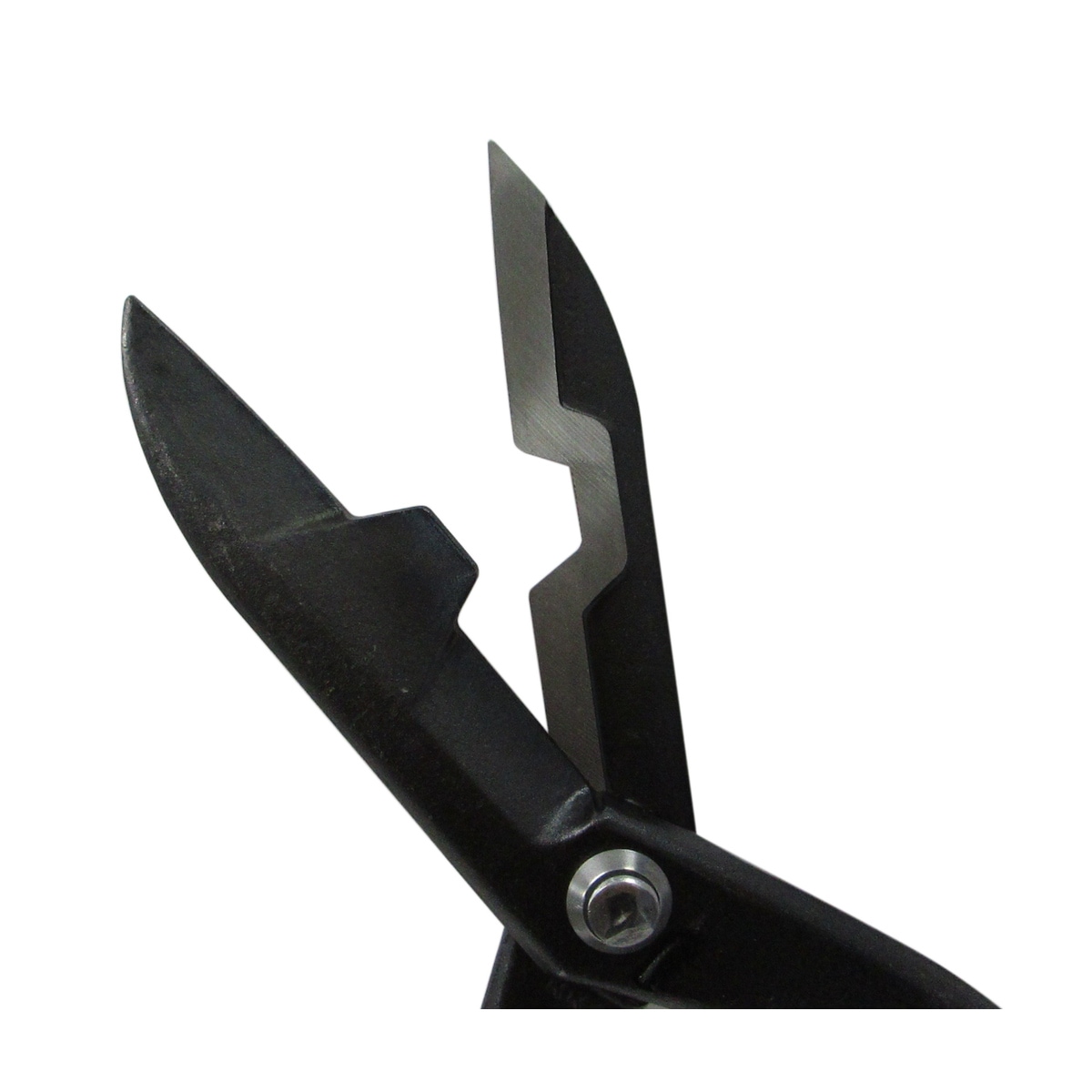 【10/4までの期間限定価格】 四角形鉄瓶 獅子の彫刻 81Yqsqn5TKL._AC_SY200_QL15_.jpg