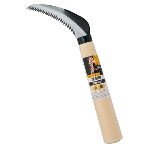 マキ　槙　斑入り　７号鉢つき　極上❗ マキ 槙 斑入り 7号鉢つき 極上❗