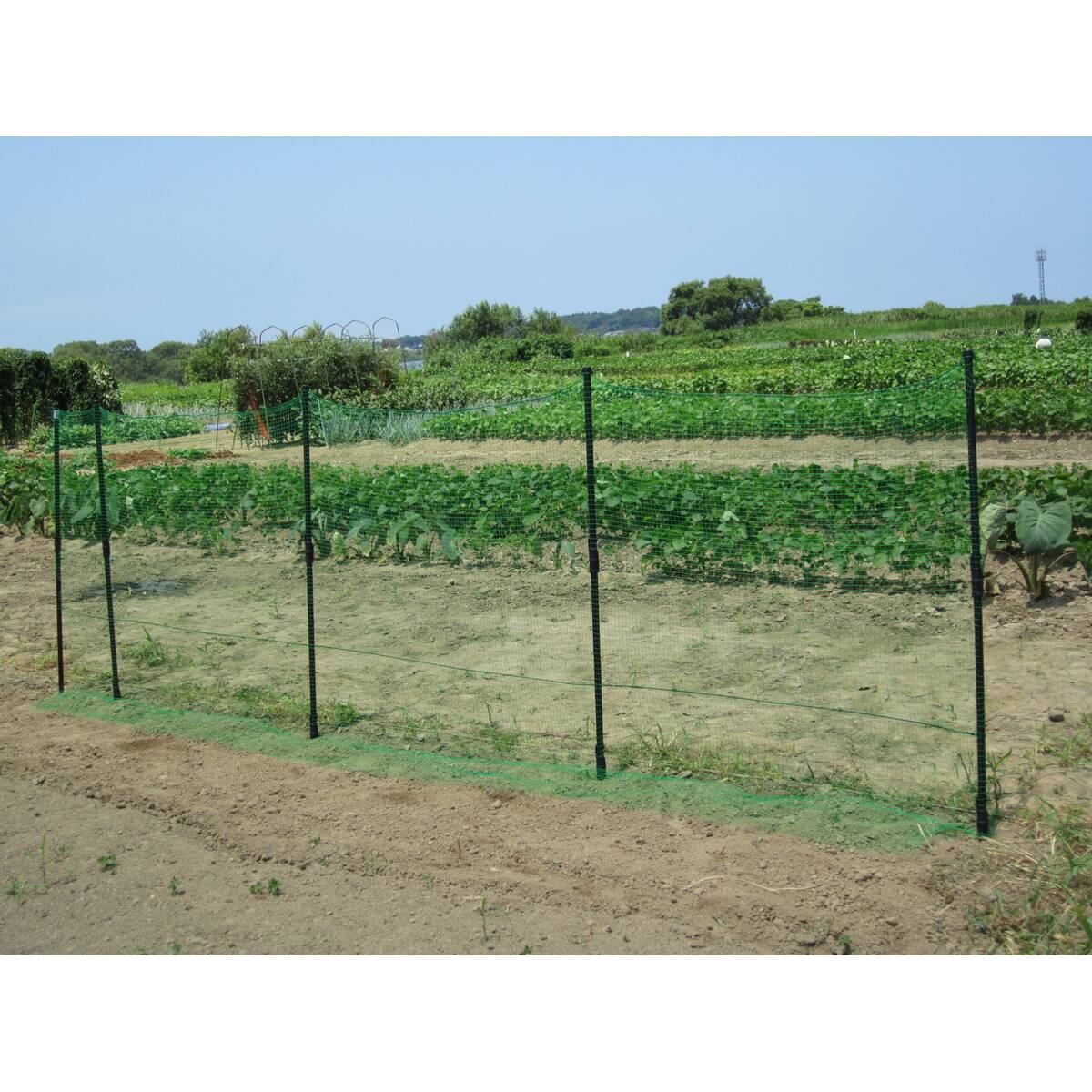 送料無料】ダイム DAIM 防獣杭 Φ20mm×1200mm ×50本 ケース販売 | 防鳥 送料無料】ダイム DAIM 防獣杭 Φ20mm×1200mm ×50本 ケース販売 | 防鳥