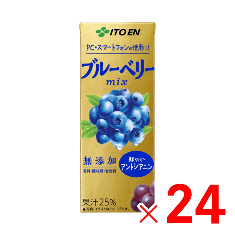伊藤園 ブルーベリーミックス 200ml 紙パック ×24個 ケース販売 (2445)