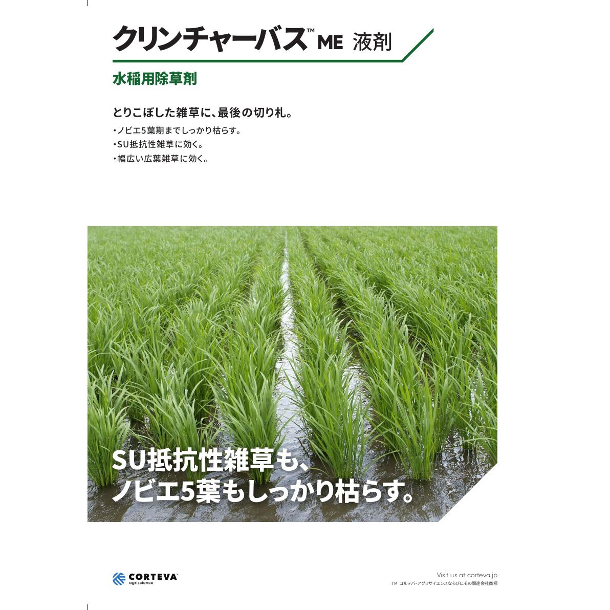 送料無料】クリンチャーバスME液剤 5L | 農薬・肥料・用土,農業用薬品  