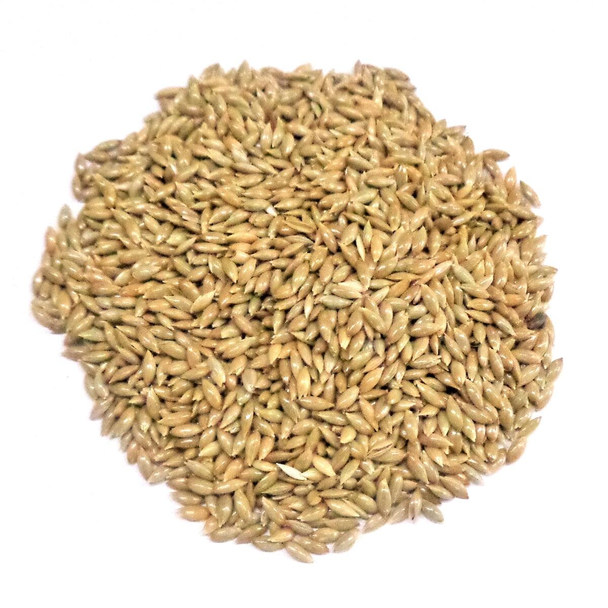 小鳥用間食 カナリアシード 550g | 小動物用品 | アークランズオンライン