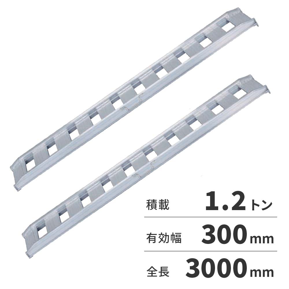 【送料無料】【法人限定】日軽金アクト アルミブリッジ 2本1セット（標準型）アングルフックタイプ 12-C10-30 【メーカー直送・代引不可・置配不可・配送地域限定】