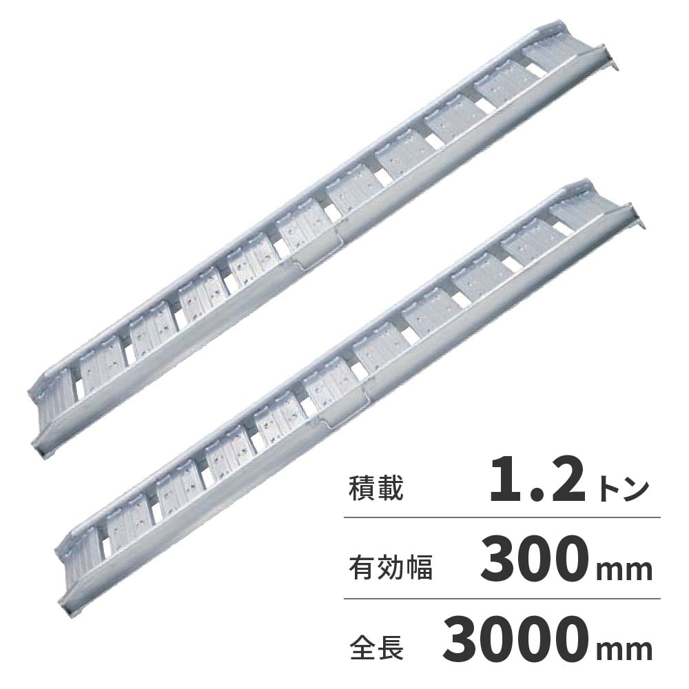 【送料無料】【法人限定】日軽金アクト アルミブリッジ 2本1セット 歩行型 アングルフックタイプ 12-CA10-30 【メーカー直送・代引不可・置配不可・配送地域限定】