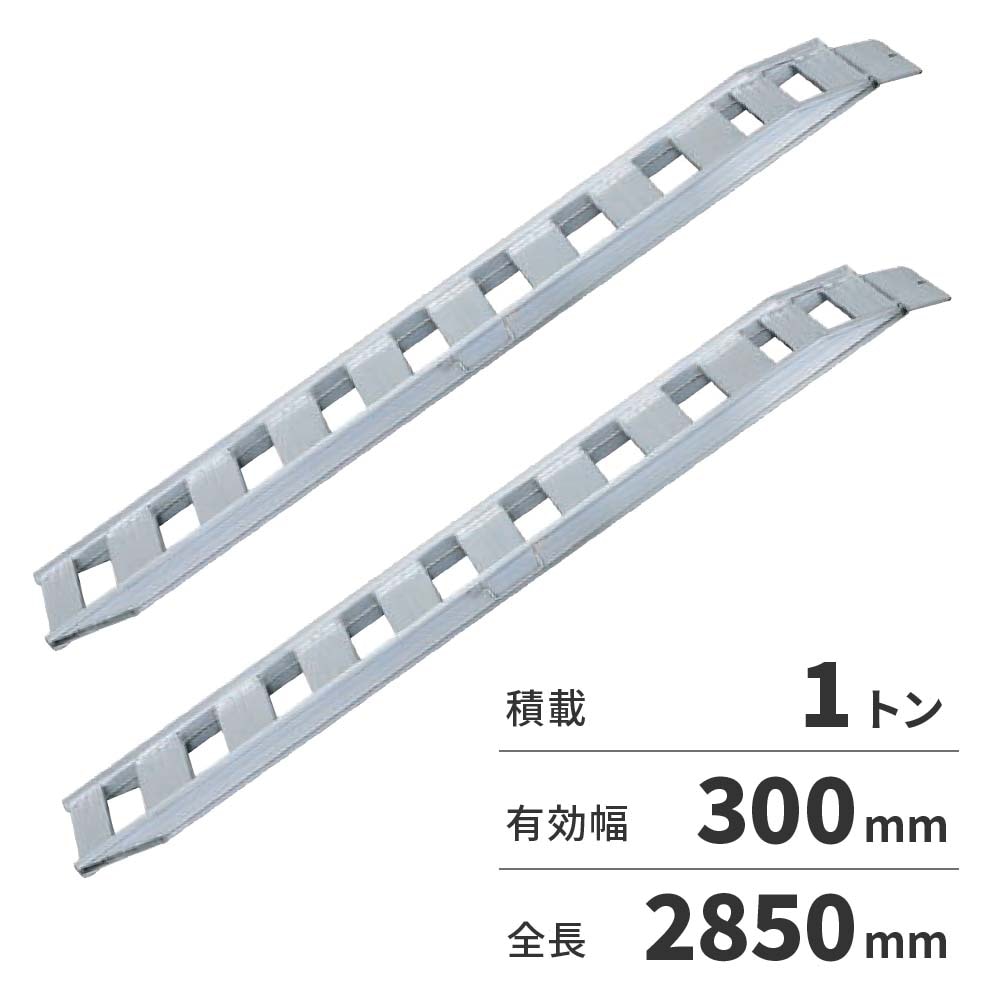 【送料無料】【法人限定】日軽金アクト NFブリッジ 2本1セット（ベロ式フックタイプ） NF10-C9-30 【メーカー直送・代引不可・置配不可・配送地域限定】