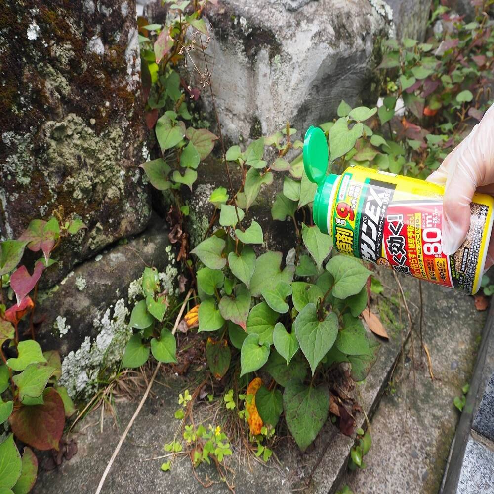 住友化学園芸 クサノンEX粒剤 400g ×3個 セット販売 | 農薬・肥料