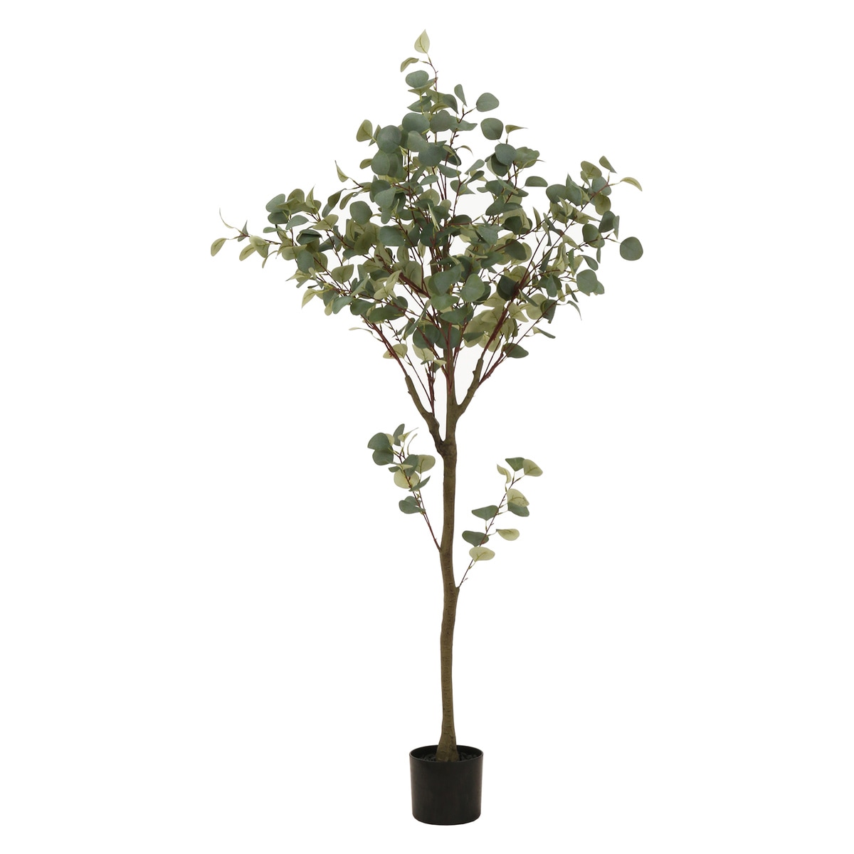 【送料無料】欠品中 次回5月上旬予定 不二貿易 フェイクグリーン ユーカリ 150cm ジョイント FB-807034A 【メーカー直送・代引不可・置配不可・配送地域限定】