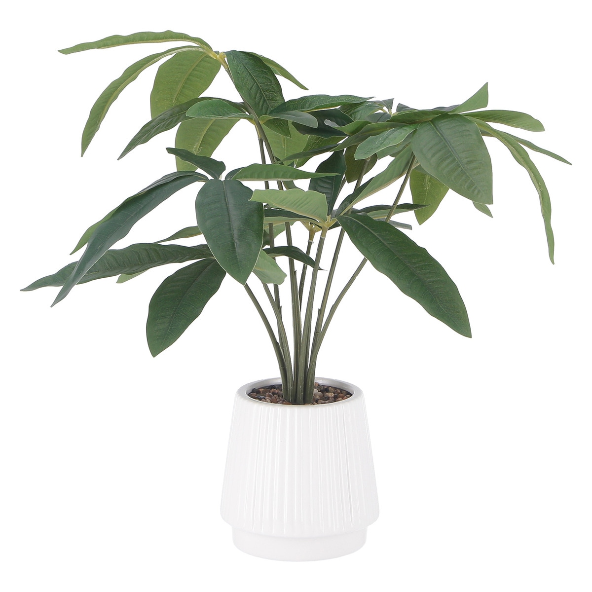 【送料無料】不二貿易 フェイクグリーン パキラ セラミックポット FB-370714 【メーカー直送・代引不可・置配不可・配送地域限定】