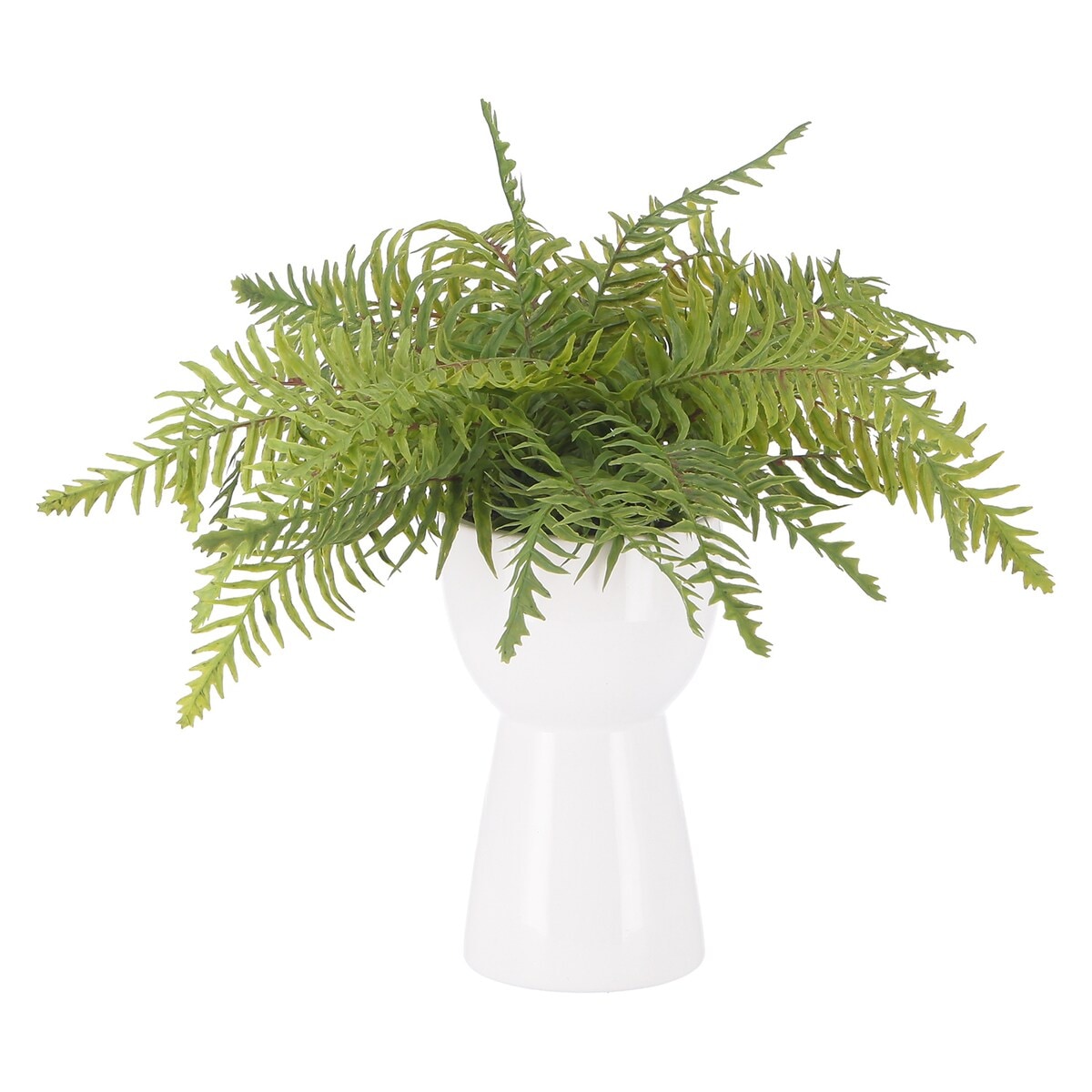 【送料無料】不二貿易 フェイクグリーン シダ セラミックポット FB-370729 【メーカー直送・代引不可・置配不可・配送地域限定】