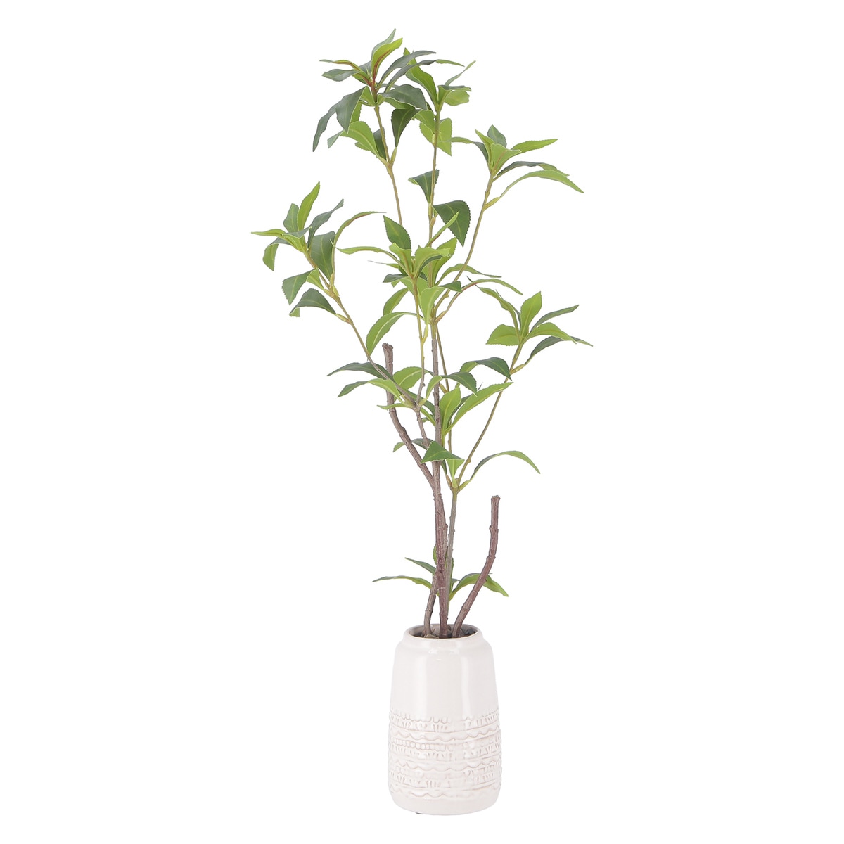 【送料無料】欠品中 次回5月上旬予定 不二貿易 フェイクグリーン ギンモクセイ セラミックポット FB-3091648 【メーカー直送・代引不可・置配不可・配送地域限定】