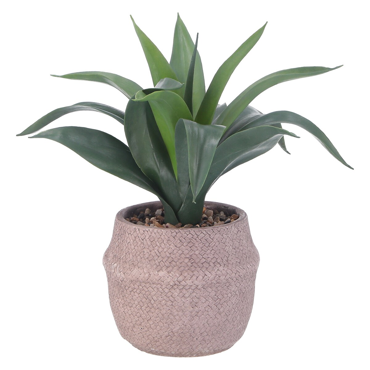 【送料無料】不二貿易 フェイクグリーン アガベ セメントポット FB-3091664 【メーカー直送・代引不可・置配不可・配送地域限定】