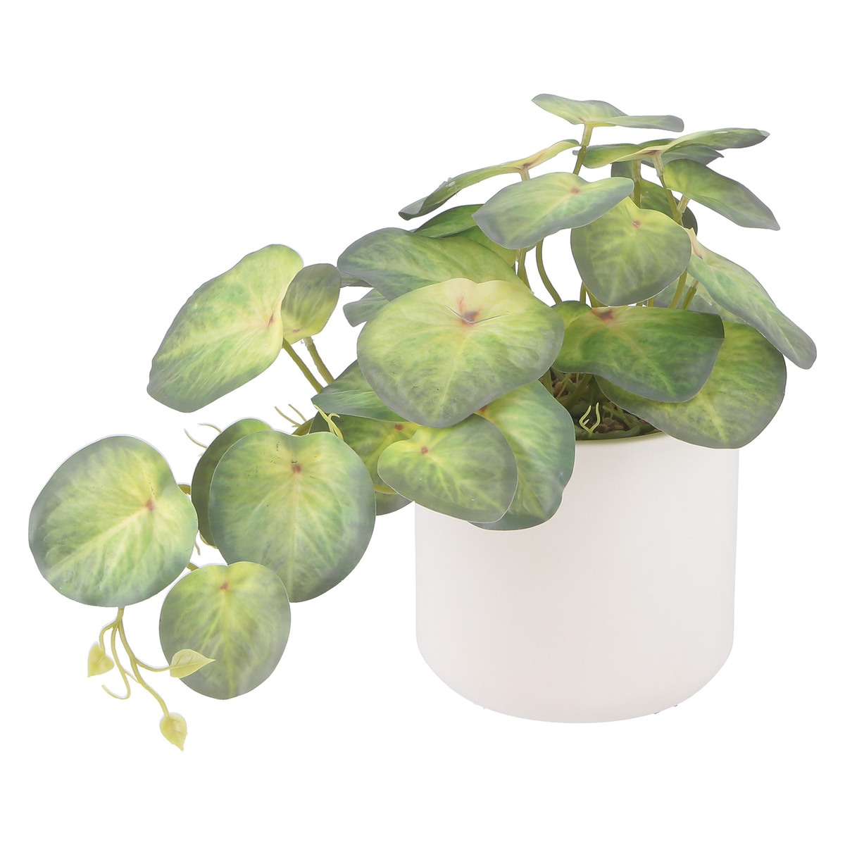 【送料無料】欠品中 次回5月上旬予定 不二貿易 フェイクグリーン シンゴニウム セラミックポット FB-370723A 【メーカー直送・代引不可・置配不可・配送地域限定】