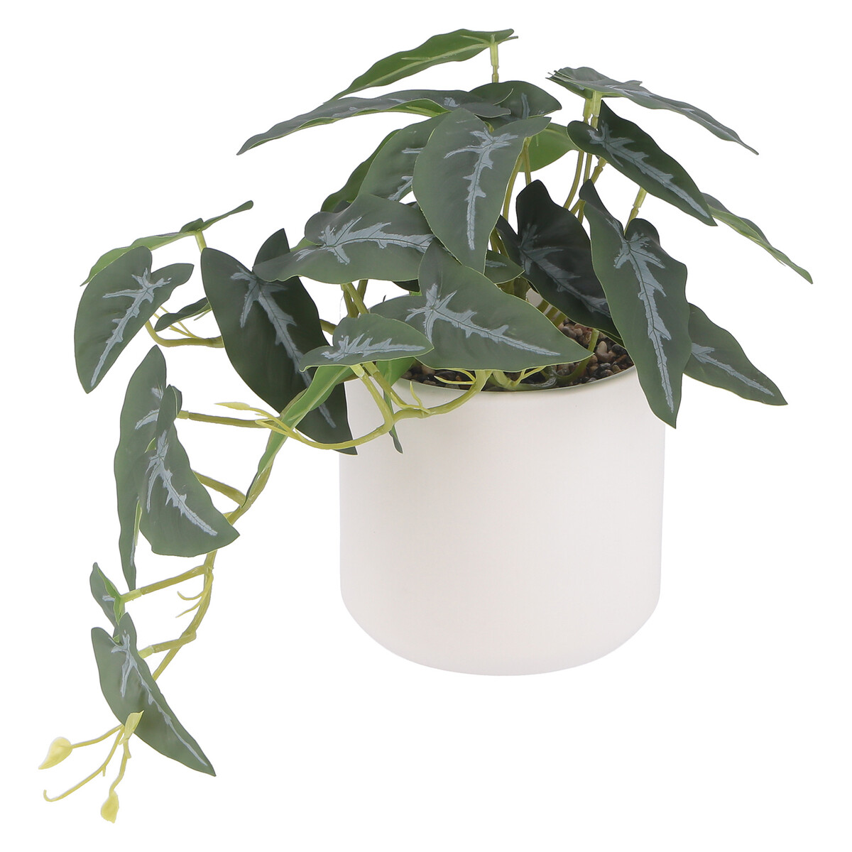 【送料無料】不二貿易 フェイクグリーン アロカシア セラミックポット FB-370725A 【メーカー直送・代引不可・置配不可・配送地域限定】