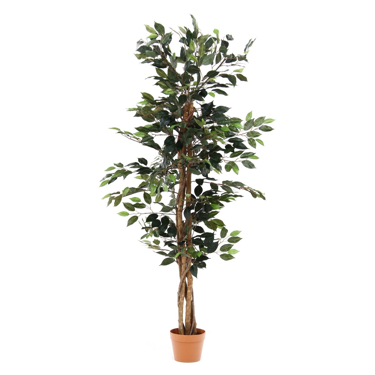 【送料無料】不二貿易 フェイクグリーン フィカス 690A 19839 【メーカー直送・代引不可・置配不可・配送地域限定】