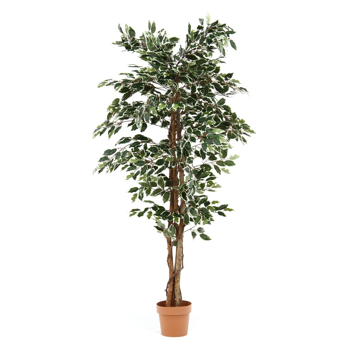 【送料無料】不二貿易 フェイクグリーン フィカス 1124 B 19844 【メーカー直送・代引不可・置配不可・配送地域限定】