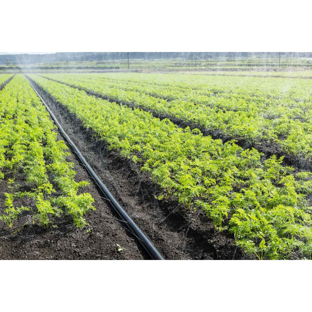 送料無料】住化農業資材 スミレイン40 100m 潅水チューブ 灌水チューブ