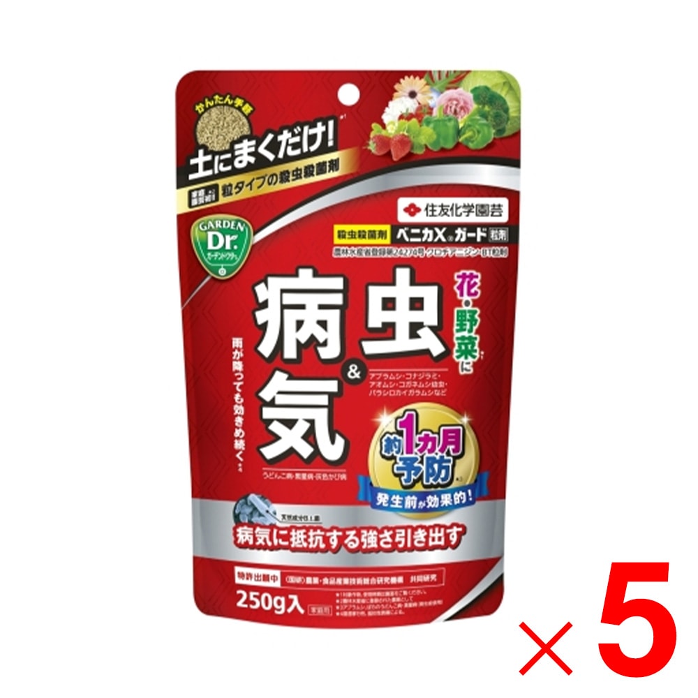 【送料無料】KINCHO園芸 ベニカXガード粒剤 250g ×5個 セット販売