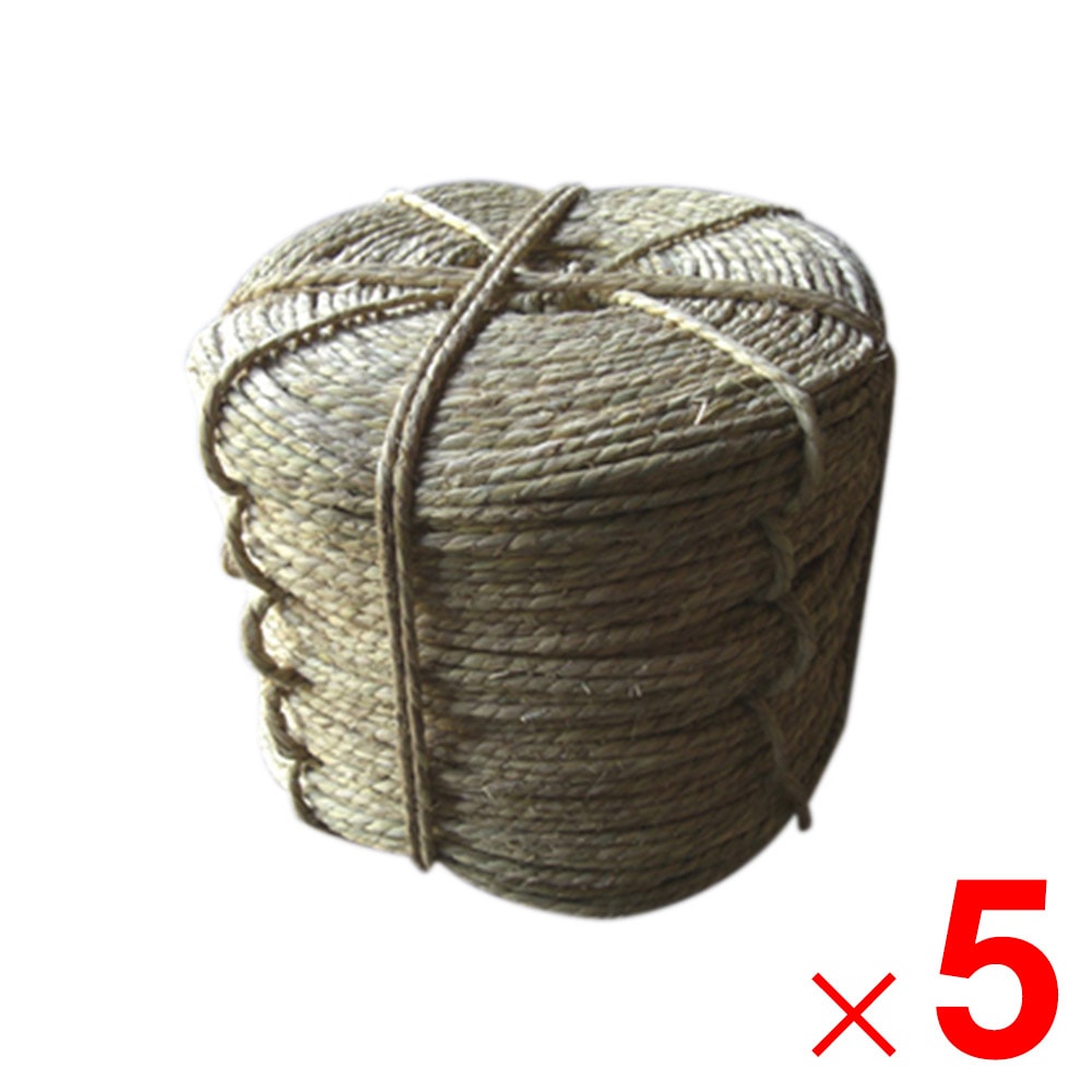 【送料無料】【法人限定】シンセイ 玉縄 2分5厘 ×5個 セット販売 【メーカー直送・代引不可・置配不可】