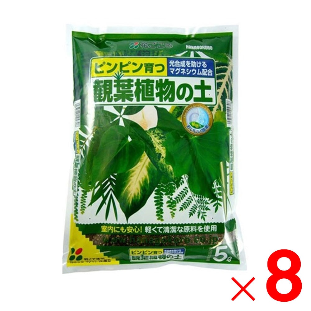 【送料無料】花ごころ 観葉植物の土 5L ×8個 セット販売