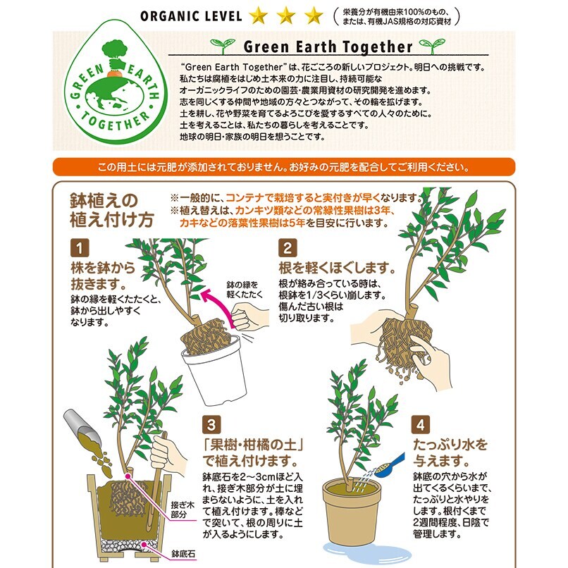 無農薬 花柚 蕾沢山 果樹 鉢ごと発送 果樹