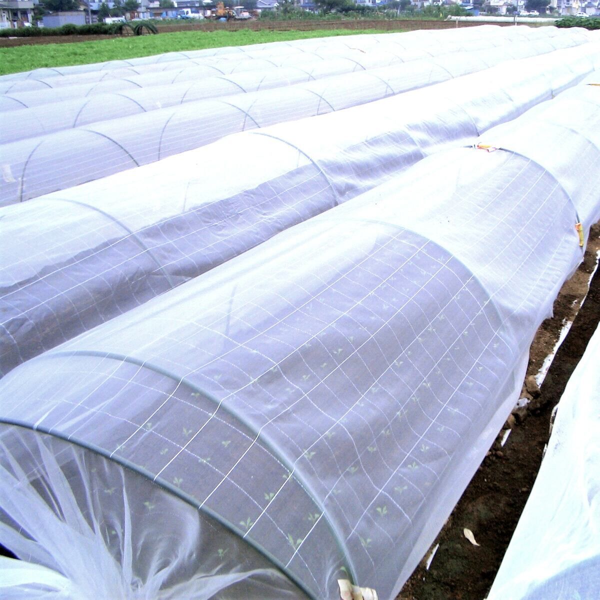 【送料無料】日本ワイドクロス 防虫ネット サンサンネット 1mm目合  1.8m×26m EX2000 【メーカー直送・代引不可・置配不可】