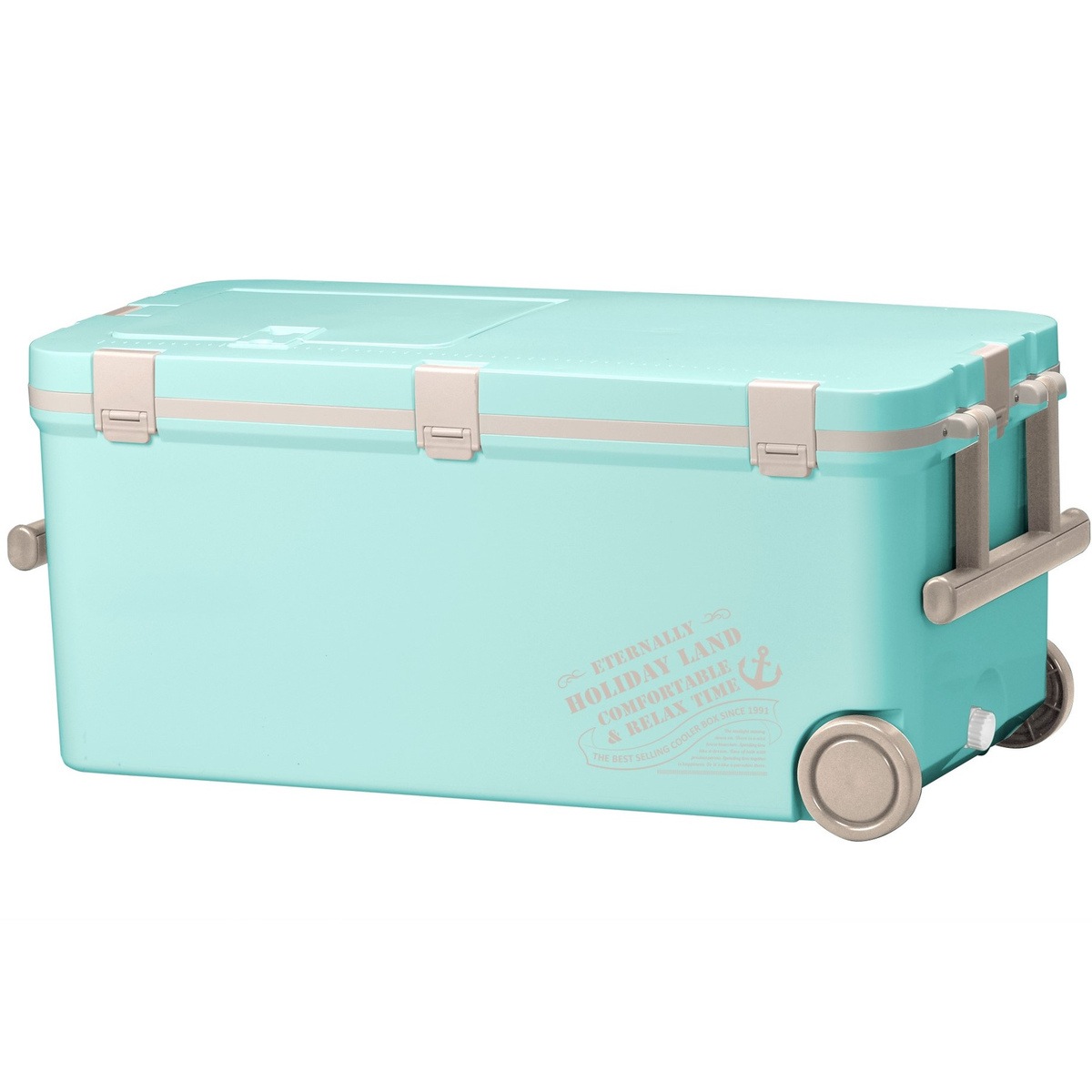 伸和 クーラーボックス 50L 伸和（SHINWA） クーラーボックス 中型 保冷力 釣り おしゃれ 部活
