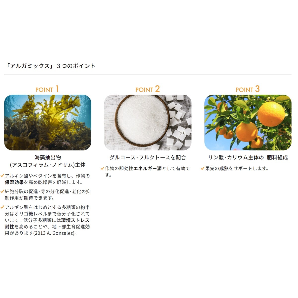 ブ*太様 ラオス　銀杯　965g Hands-On: Zodiac Super Sea Wolf ZO9309 White Compression Diver