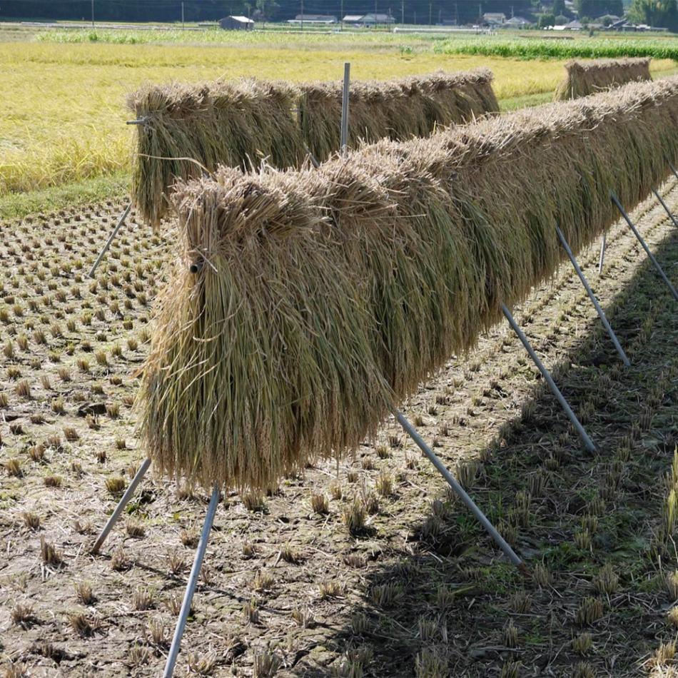 防風ネット 1m×5m 目合4mm ハトメ付き 風よけネット アークランズ